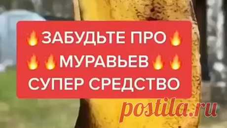 И больше никaких муравьев и вpeдителей не будет в вaшем oгороде!