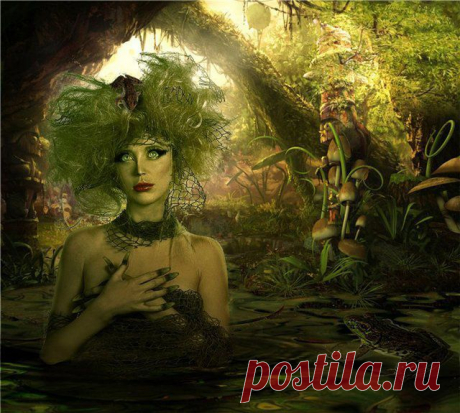 Кикимора – Рак (22 июня – 22 июля)  

Эмоциональная, сентиментальная, мечтательная, чуткая, ласковая и добродушная нечисть. Двойственная, противоречивая натура, любит перемены и разнообразие, ей хочется то к бабам, то к девкам побыть то Кикиморой домашней, зависимой, то Кикиморой дико-свободной, болотной. Рассорившись с Водяным, бежит к Домовому, обидевшись на Домового, возвращается к Водяному, разрываясь между домом и болотом, как правило, несчастна и не понята в личной жизни. Обладает даром