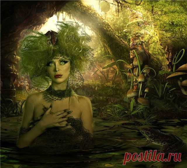 Кикимора – Рак (22 июня – 22 июля)  

Эмоциональная, сентиментальная, мечтательная, чуткая, ласковая и добродушная нечисть. Двойственная, противоречивая натура, любит перемены и разнообразие, ей хочется то к бабам, то к девкам побыть то Кикиморой домашней, зависимой, то Кикиморой дико-свободной, болотной. Рассорившись с Водяным, бежит к Домовому, обидевшись на Домового, возвращается к Водяному, разрываясь между домом и болотом, как правило, несчастна и не понята в личной жизни. Обладает даром