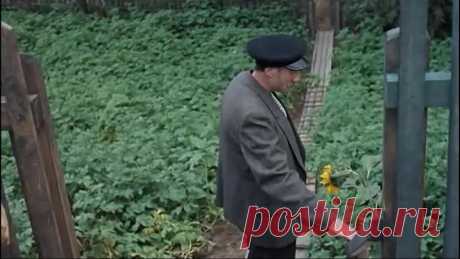 100 РАЗ СМОТРЕЛА и ЕЩЕ ПОСМОТРЮ!!!