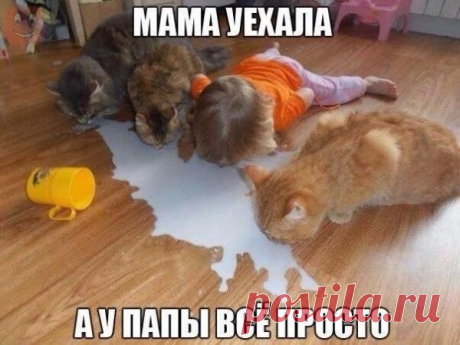 Самые смешные картинки за месяц