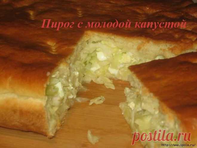 Пирог с молодой капустой