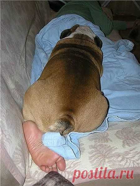 Фото из рубрики "Показалось"))) | Улетные картинки