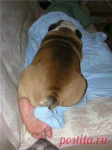 Фото из рубрики &quot;Показалось&quot;))) | Улетные картинки