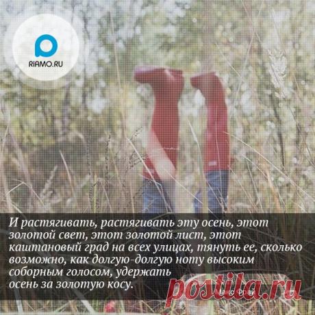 (3) В Подмосковье - В Подмосковье добавил(-а) новое фото.