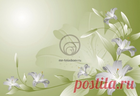 фотообои Абстрактный цветок - МИР ФОТООБОЕВ