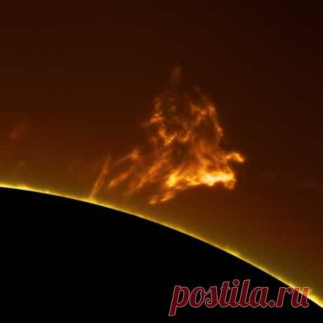 Высококачественные снимки Солнца от астронома-любителя — Наука и жизнь