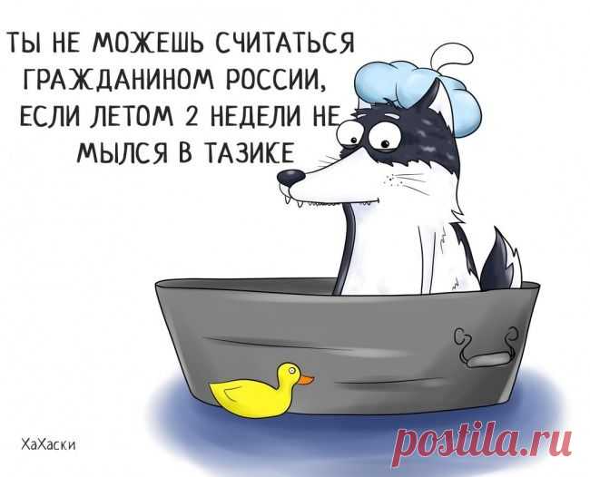 Ха-хаски (13 смешных комиксов)