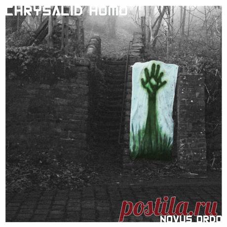 Chrysalid Homo - NOVUS ORDO (2025) 320kbps / FLAC