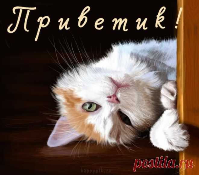Приветик! А я тебя вижу!