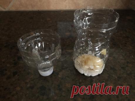 Простая и эффективная мухоловка — Полезные советы