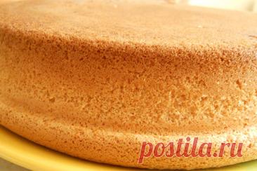Бисквит (секрет приготовления) — Готовим дома