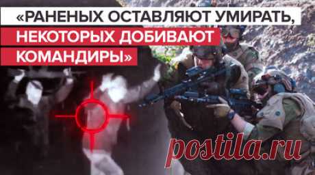 Предпочитают плен гибели: почему боевики ВСУ сдаются российским войскам. ВСУ сдаются в российский плен даже после прохождения боевой подготовки у немецких и британский инструкторов. Военнопленные рассказали корреспонденту RT Сами Абу Деябу, как их отправили погибать на поле боя. По словам украинских боевиков, большинство раненых бросают умирать, некоторых добивают командиры. Подробности — в сюжете. Читать далее