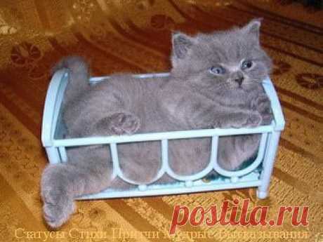 ᴼᴿᴵᴳᴵᴺᴬᴸ   SМАЙЛИКИ   (ړײ)
Надя- Надежда