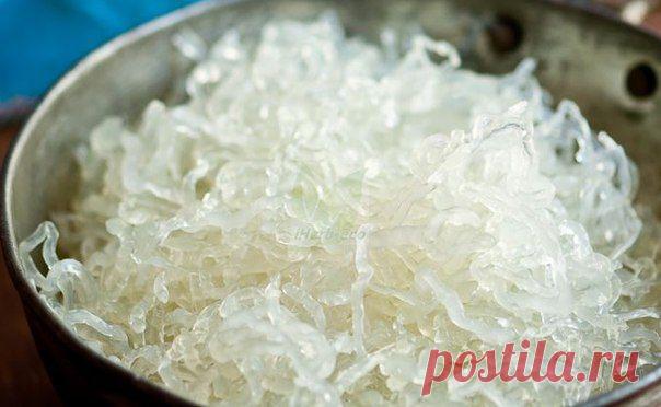 Wall | VK
Низкокалорийная замена пасте
Одной из причин почему люди выбирают лапшу из ламинарии является ее низкая калорийность. Порция лапши настолько низкая по содержанию калорий, что о калориях практически не стоит беспокоиться. В самом деле, в одной 100 г порции содержится всего 5-10 калорий. Лапша из ламинарии также относится к низкоуглеводной еде и идеальна для людей, желающих похудеть. Несмотря на низкое содержание калорий, лапша помогает людям чувствовать сытость,