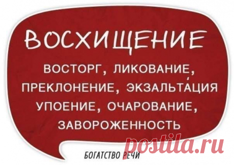 (3) Кирилл Лейцихович