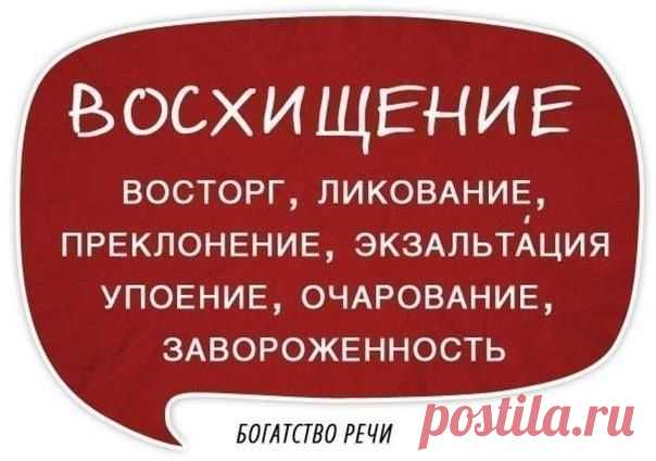 (3) Кирилл Лейцихович