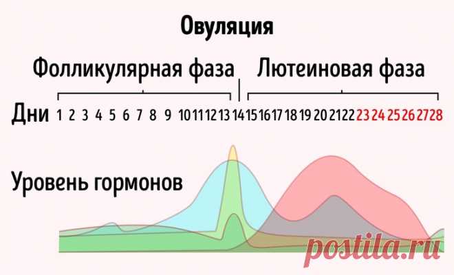 9 неочевидных фактов о женском организме, знание которых может решить кучу проблем