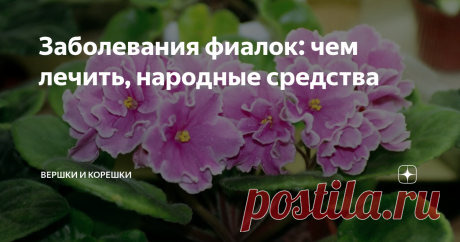 Заболевания фиалок: чем лечить, народные средства Фиалки подвержены риску заболеваний и атаке вредителей в равной степени с остальными растениями, поэтому важно правильно проводить комплекс лечебных мероприятий.
