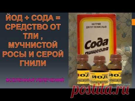 ЙОД+  СОДА= СУПЕР СРЕДСТВО ОТ ТЛИ ..мучнистой росы и серой гнили.Vselennaya uvlecheniy