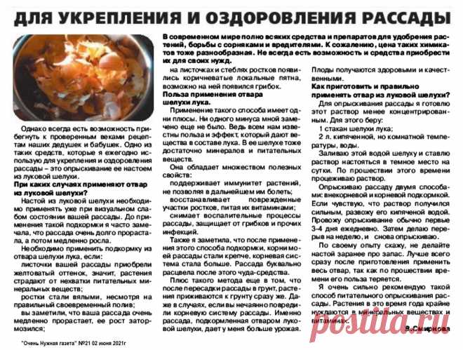 Луковая шелуха для укрепления и оздоровления рассады