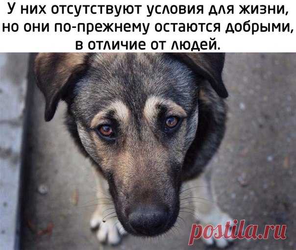 Злые мысли человечества