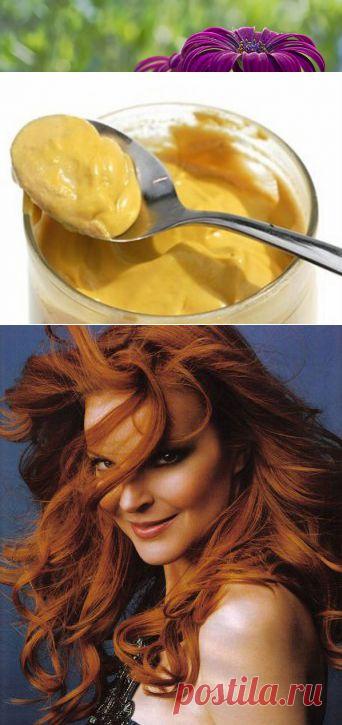Домашние шампуни | Правила здоровья и долголетия