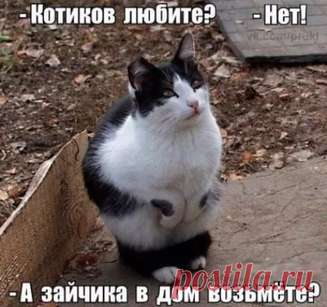 нитки СОНЯ 48 ур.: Я люблю тебя, ЖИЗНЬ! И, надеюсь, что это взаимно!!!