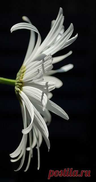 Gevonden op flickr.com