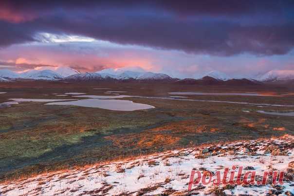 Свинцовая тундра на снимке Кирилла Уютнова (nat-geo.ru/community/user/37676/). Хребет Черского, водораздел рек Яна и Индигирка. Момский район, Якутия.