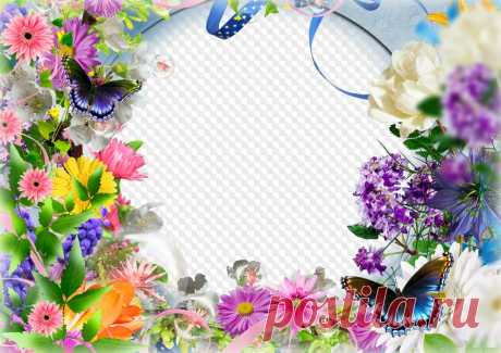 Plantilla de marco de fotos con flores y mariposas. Marco PNG transparente, plantilla de marco de fotos en capas PSD, descarga.