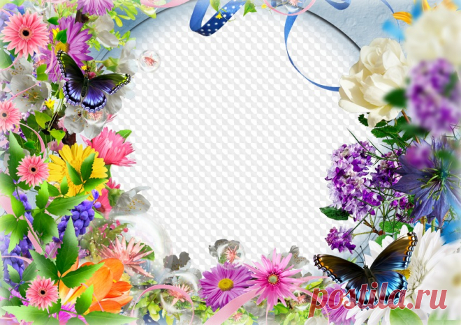 Plantilla de marco de fotos con flores y mariposas. Marco PNG transparente, plantilla de marco de fotos en capas PSD, descarga.