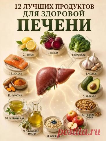 12 лучших продуктов для здоровой печени