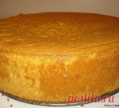 ПЛОТНЫЙ БИСКВИТ НА СМЕТАНЕ