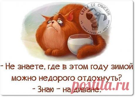 ❤ღツ Здесь вы найдёте самое интересное ✙ ВИДЕО  ❤ღツ
Люда Санникова (Бубнова)