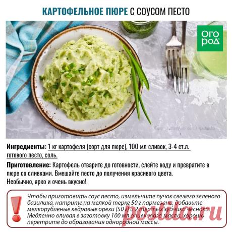 Картофельное пюре с соусом песто