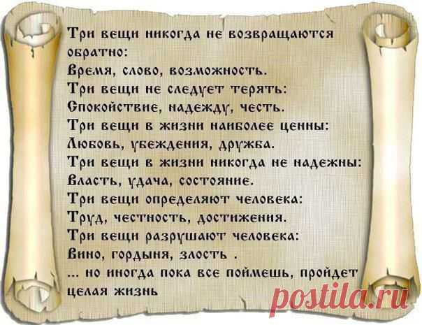 Советы мудрецов - Магнитиза