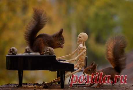 Даже белки празднуют Хэллоуин. Фотосессия Гирта Уэггена Фотограф Гирт Уэгген (Geert Weggen) создал уникальную и смешную Хэллоуинскую фотосессию, где в качестве моделей выступили ручные белки и пластмассовые скел