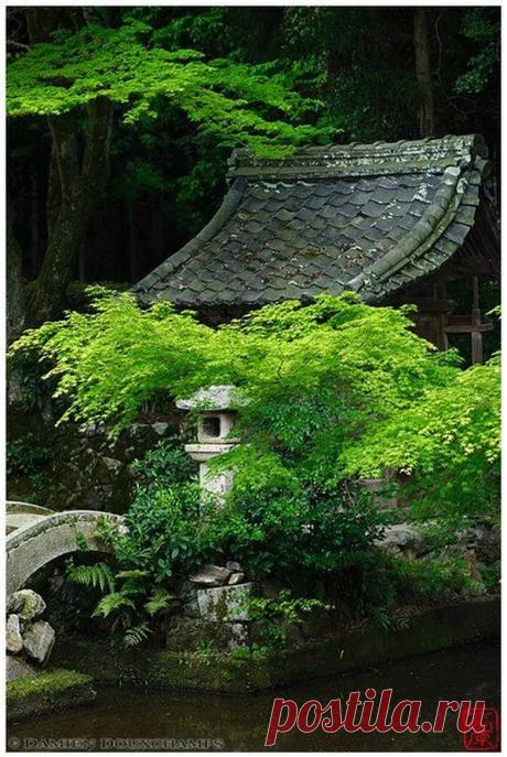 Фото – Google+