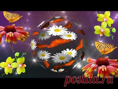 Видеозаставка, футаж цветы и бабочки