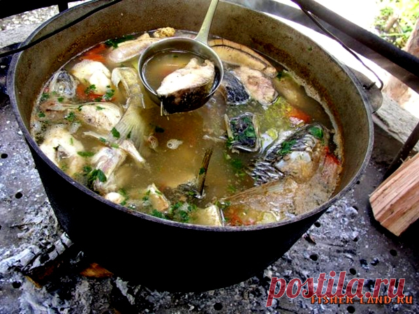 Уха на рыбалке. Спорим, вы такой не ели