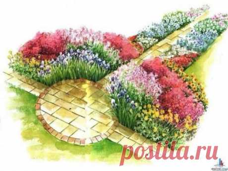 Красивое обрамление садовых дорожек 
1. Ирис гибридный — Iris х hybrids hort. 
2. Купальница европейская — Trollius europaeus. 
3. Аквилегия гибридная - Aquilegia х hybrida hort. 
4. Астра новобельгийская — Aster novi-belgii. 
5. Гайллардия остистая — Gaillardia aristata. 
6. Армерия приморская — Armeria maritima. 
7. Колокольчик карпатский — Campanula carpatica. 
8. Сисюринхий узколистный — Sisyrinchiym angusufolium. 9. Ясколка Биберштейна — Cerastium biebersteinii 
10. Флокс шиловидный — Phlo