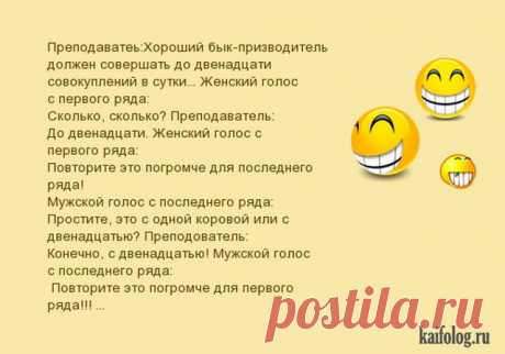 АНЕКДОТЫ В КАРТИНКАХ