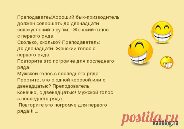 АНЕКДОТЫ В КАРТИНКАХ