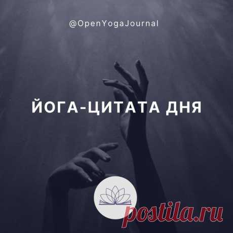 Цитата из статьи: &quot;Как Хатха йога развивает разум?&quot;
