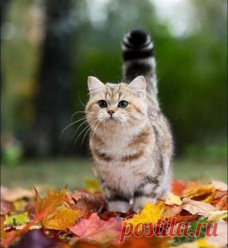 Готов к приключениям!