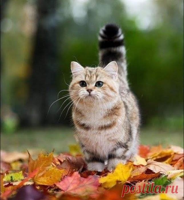 Готов к приключениям!