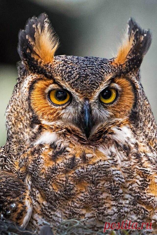 «47ABA235 E7BE 4970 B35A 01CFB3A3DB8C» — карточка пользователя Ирина А. в Яндекс.Коллекциях