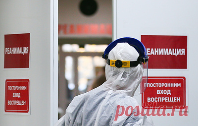 В Волгограде подросток попал в реанимацию после укуса ядовитого паука-каракурта. Состояние ребенка оценивается как средней степени тяжести