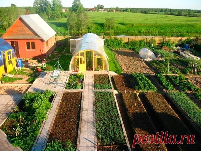 ТАБЛИЦА ЧЕРЕДОВАНИЯ ПОСЕВОВ ОВОЩЕЙ В ОГОРОДЕ